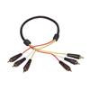 CCR3MM
